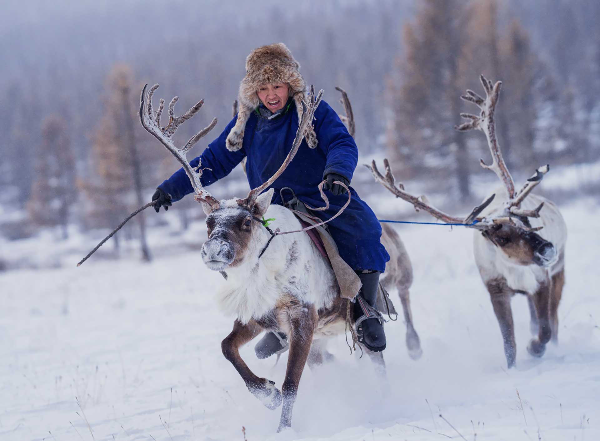 Festival Nagaland India